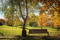 Bench in the autumn forest against the backdrop of the glade lit by the bright sun Royalty Free Stock Photo