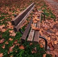 Bench in autumn