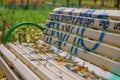 Bench in the autumn park covered and ornamented with inscriptions and graffiti