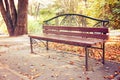 A bench in an autumn park. Many fallen leaves are yellow and red. Toning Royalty Free Stock Photo