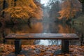 A bench in the autumn park. Autumn weather