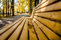 Bench in the autumn Park. Yellow maple leaves in the old city Park. Yellow leaf on the bench. Autumn yellow trees Royalty Free Stock Photo