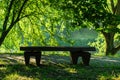 Bench on the bank of the lake in summer day Royalty Free Stock Photo
