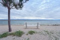 Bench on the beach