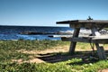 Bench in the beach in the park in Halifax, Nova Scotia, Canada Royalty Free Stock Photo