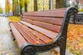 Bench in the beautiful autumn park after rain Royalty Free Stock Photo