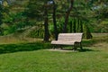 A bench in a beautiful park with a background of tanks of long trees and pine trees. relaxation, destressing, hope, happiness