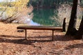 Bench in a Beautiful park Royalty Free Stock Photo