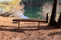 Bench in a Beautiful park