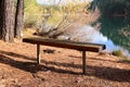 Bench in a Beautiful park