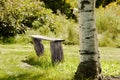 Bench of the birch