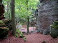 The SiewenschlÃÂ¼ff on the Mullerthal Trail in Berdorf, Luxembourg