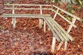 bench with cast iron legs standing in the autumn a park.