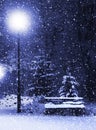Bench, christmastree and lantern Royalty Free Stock Photo