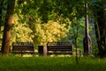 Bench city park golden hour