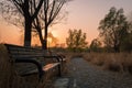 A bench in City park at sunset Royalty Free Stock Photo