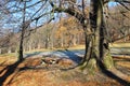 Bench in cold autumn Royalty Free Stock Photo