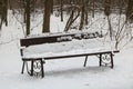 A bench covered with a layer of snow standing alone in a winter park near a path. Royalty Free Stock Photo