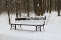 A bench covered with a layer of snow standing alone in a winter park near a path Royalty Free Stock Photo