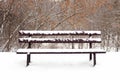 Bench covered with snow in frozen forest. Empty bench in snowy park. Winter weather. Wooden bench in park in snowfall Royalty Free Stock Photo