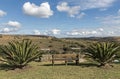 Bench Cycads Hills Valleys and Cloudy Blue Sky Landscape