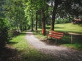 A bench dappled by light and shadows by the side of a trail leading into the woods by a log cabin and meadow in Lauterbrunnen, Royalty Free Stock Photo