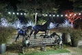 Bench decorated with statues and three bronze horses in the back of the bench at a park lit with colorful light orna