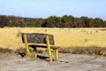 Bench at Dutch heathland Strabrechtse Heide