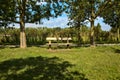 Bench by the edge of a path under two trees in the countryside in autumn Royalty Free Stock Photo