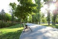 Bench in an empty park on an alley among green trees outdoors in the early morning in summer. Urban landscape Royalty Free Stock Photo