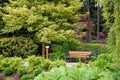 Bench empty seat in nature. Chair in park or garden near bushes and green trees. Relaxation, tranquil and idyllic scene in foliage Royalty Free Stock Photo