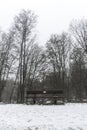 Bench empty seat in wood trees winter and fog 5