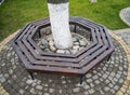 Bench encircling a tree trunk Royalty Free Stock Photo