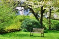 Bench in an English contry garden Royalty Free Stock Photo