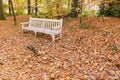 Bench with fallen leaves Royalty Free Stock Photo