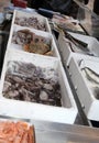 Bench of fishmonger with fish and molluscs for sale