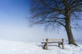 Bench, foggy winter day