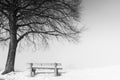 Bench, foggy winter day 110