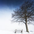 Bench, foggy winter day 143 Royalty Free Stock Photo