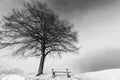 Bench, foggy winter day