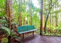 Bench in the forest Royalty Free Stock Photo