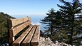 Bench in forrest Royalty Free Stock Photo