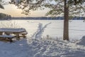 Bench in front of Frozen Lake with Ski Tracks Royalty Free Stock Photo