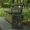 Bench, garbage container, asphalt path in the park