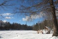 Bench and gazebo in the woods. Royalty Free Stock Photo