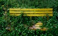 Bench with grass