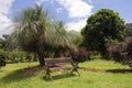 Bench with Grass tree ,Black boy Royalty Free Stock Photo