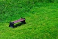 Bench on green grass