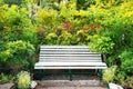 Bench in green tropical garden Royalty Free Stock Photo