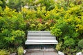 Bench in green tropical garden Royalty Free Stock Photo